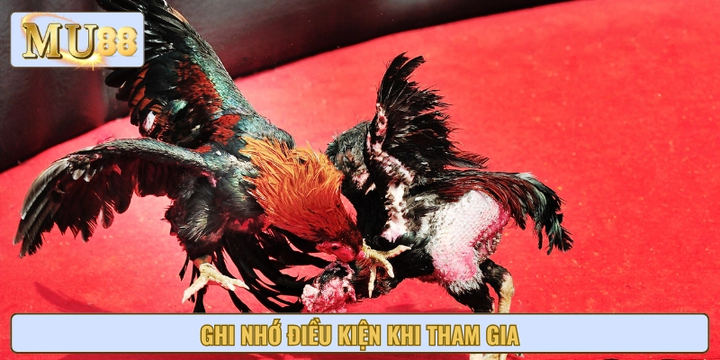 Những điều cần lưu ý để tránh mất quyền nhận bảo hiểm