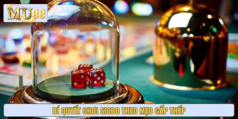 Bí quyết chơi Sicbo theo mẹo gấp thếp