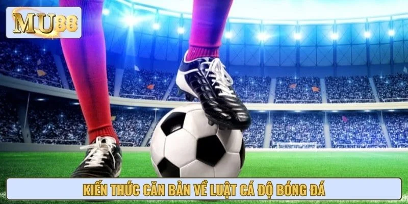 Kiến thức căn bản về luật cá độ bóng đá