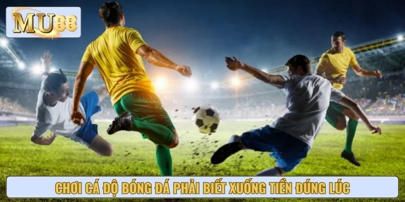 Chơi cá độ bóng đá phải biết xuống tiền đúng lúc