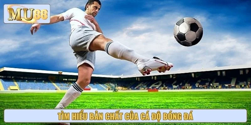 Tìm hiểu bản chất của cá độ bóng đá