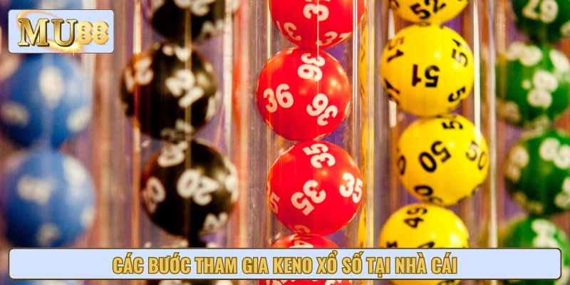 Hướng dẫn từng bước cụ thể khi chơi Keno xổ số tại nhà cái uy tín