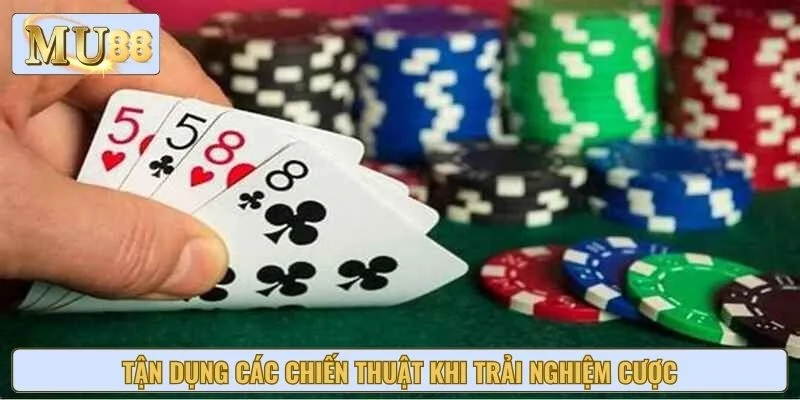 Tận dụng các chiến thuật khi trải nghiệm cược