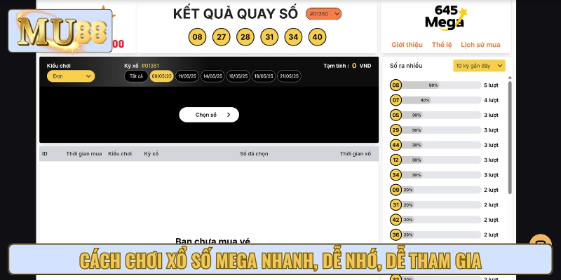 Hướng dẫn từng bước cách chơi xổ số Mega dễ hiểu cho người mới