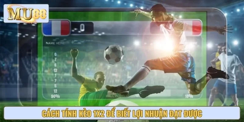 Cách tính kèo 1x2 để biết lợi nhuận đạt được