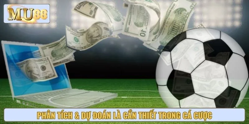 Phân tích & dự đoán là cần thiết trong cá cược