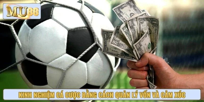 Kinh nghiệm cá cược bằng cách quản lý vốn và cảm xúc