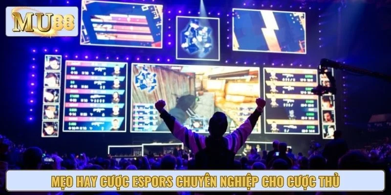 Mẹo hay cược espors chuyên nghiệp cho cược thủ