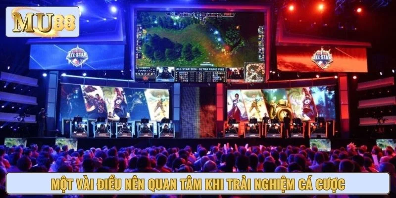 Một vài điều nên quan tâm khi trải nghiệm cá cược