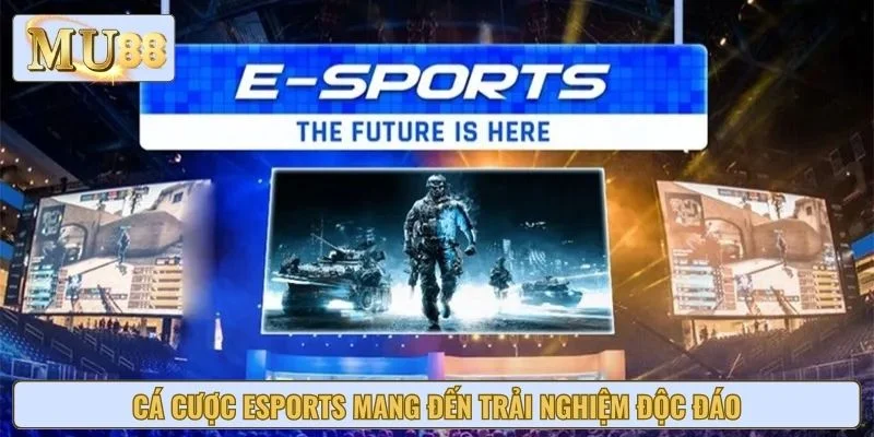Cá cược esports mang đến trải nghiệm độc đáo