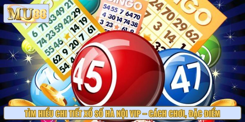 Đôi nét về hình thức xổ số HN VIP được nhiều người ưa chuộng