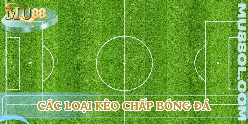 cac-loai-keo-chap-bong-da