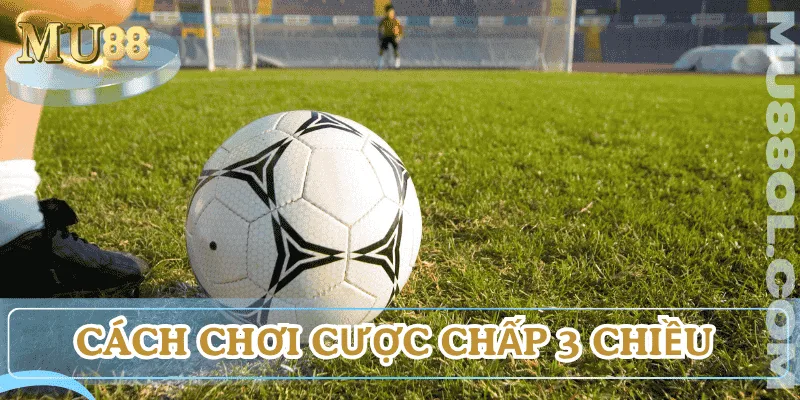 cach-choi-cuoc-chap-3-chieu-la-gi