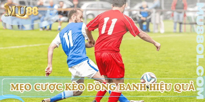 cach-cuoc-keo-chap-dong-banh