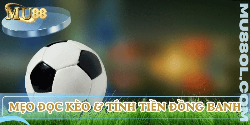 cach-doc-keo-chap-dong-banh-la-gi