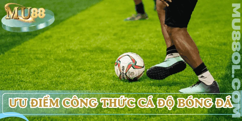 cong-thuc-ca-do-bong-da-loi-ich-su-dung