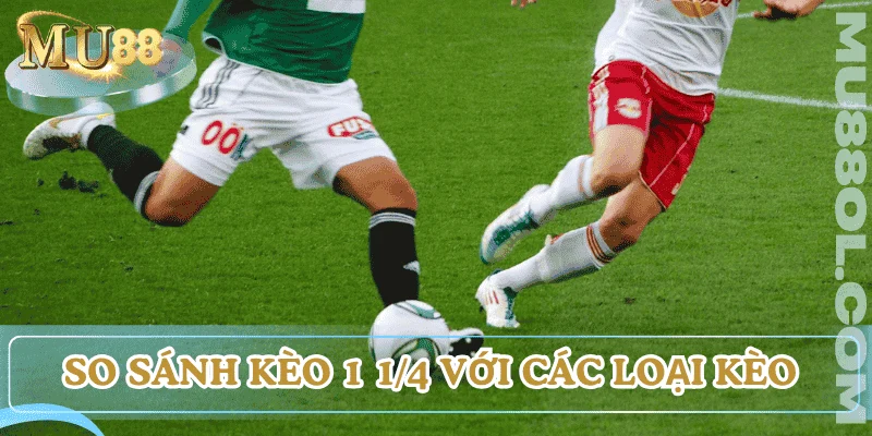 keo-1-1-4-la-gi-so-sanh-voi-keo-khac