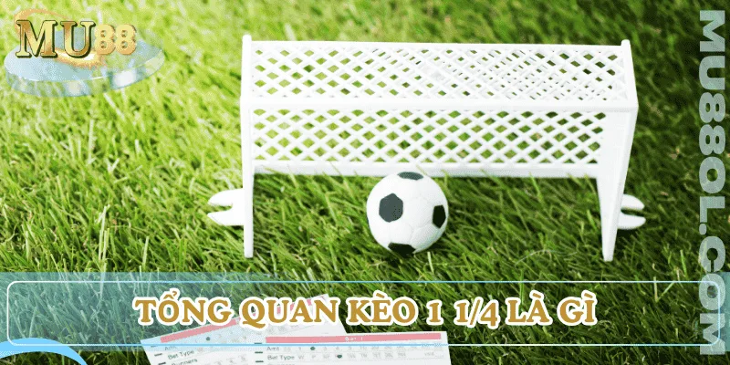 keo-1-1-4-la-gi-tong-quan