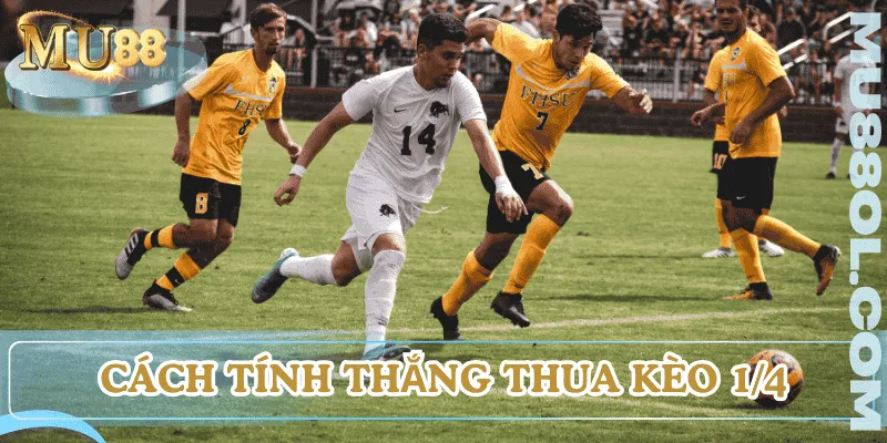 keo-1-4-nghia-la-gi-cach-tinh-thang-thua