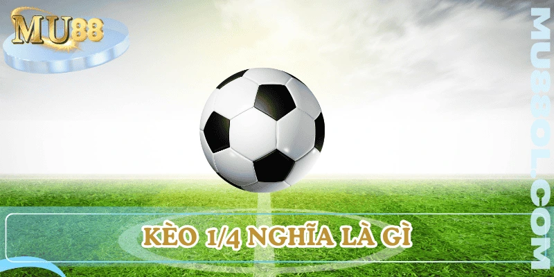keo-1-4-nghia-la-gi-tong-quan