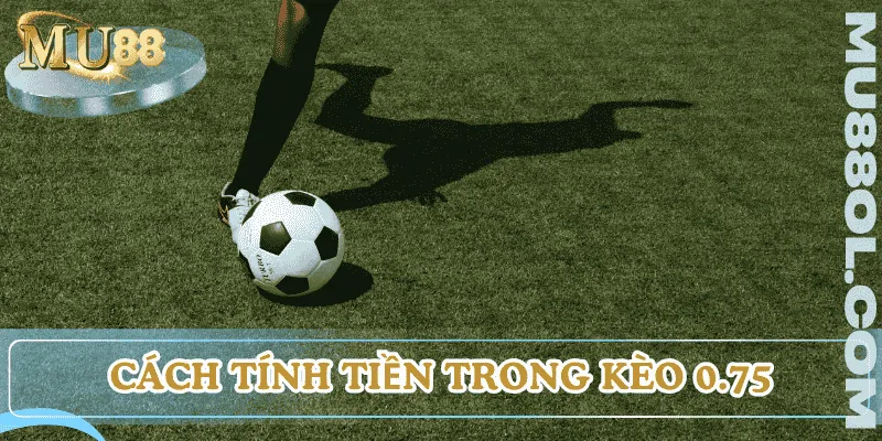 keo-3-4-nghia-la-gi-cach-tinh-tien