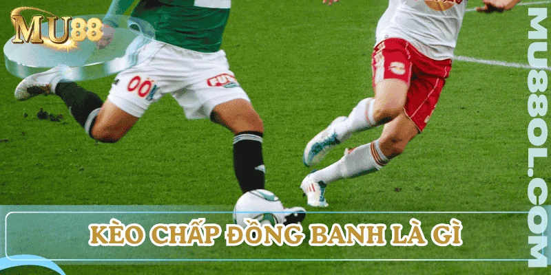 keo-chap-dong-banh-la-gi-tong-quan