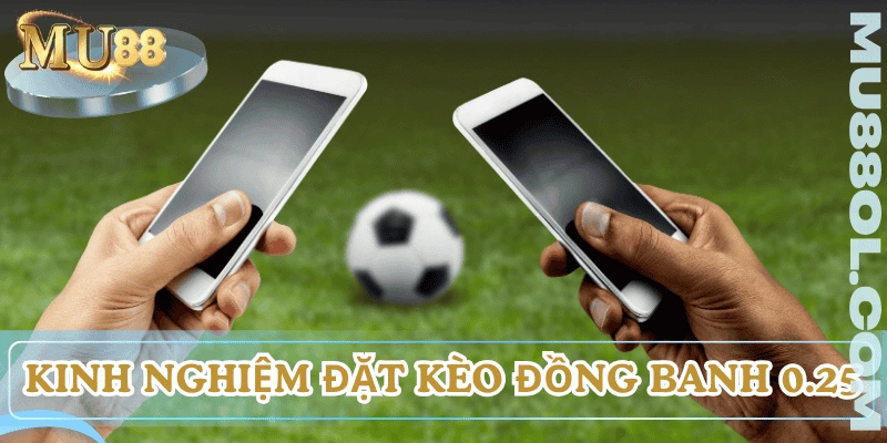 keo-chap-dong-banh-nua-trai-meo-choi