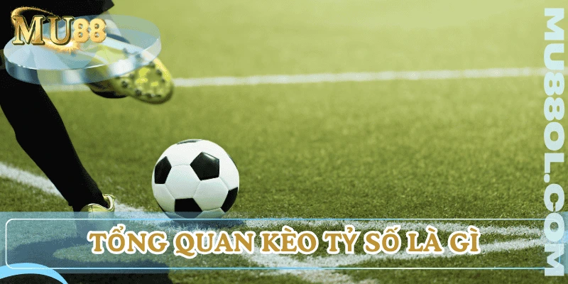 keo-ty-so-la-gi-tong-quan