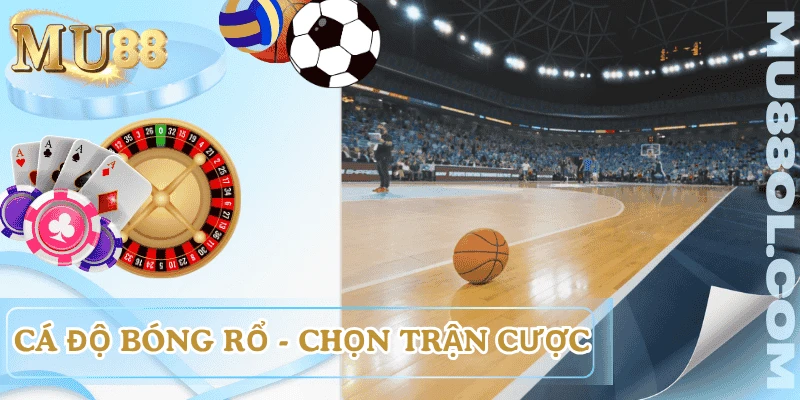 kinh-nghiem-ca-do-bong-ro-chon-tran-cuoc