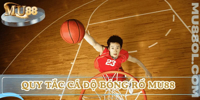 luat-ca-do-bong-ro
