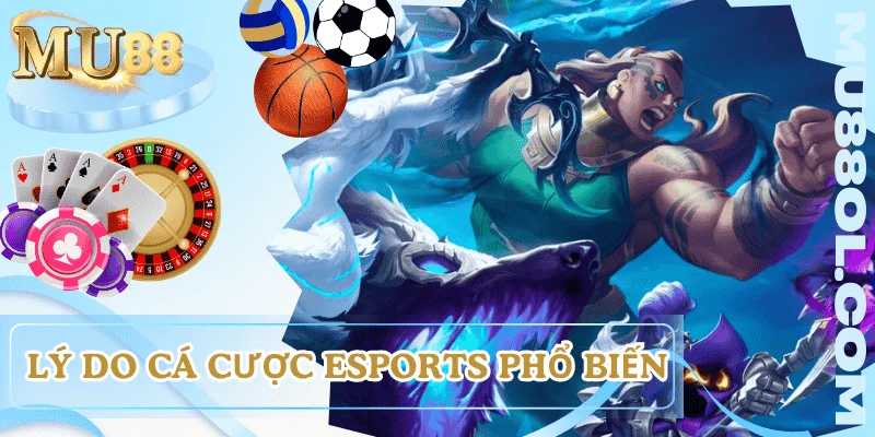 ca-cuoc-esports-la-gi-ly-do-pho-bien