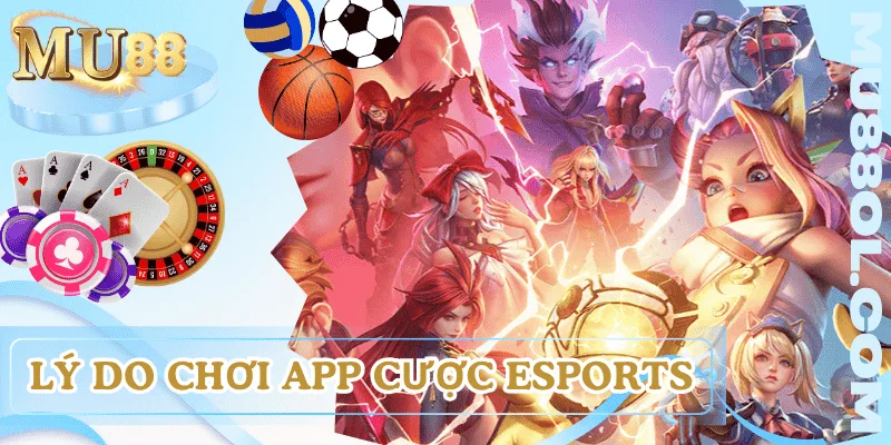 ly-do-nen-choi-app-cuoc-esports