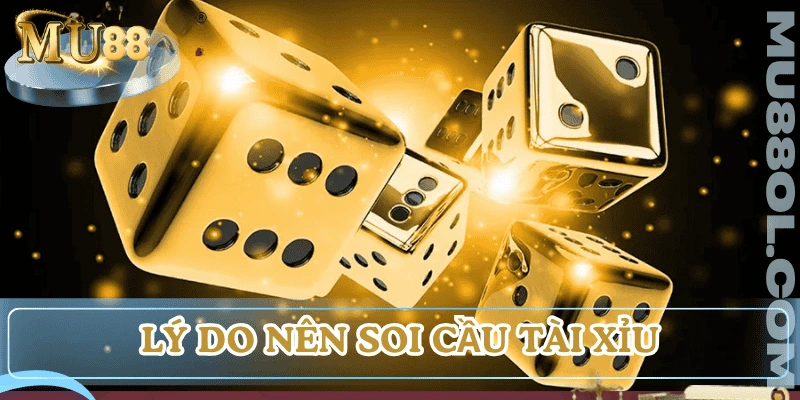 ly-do-nen-soi-cau-tai-xiu