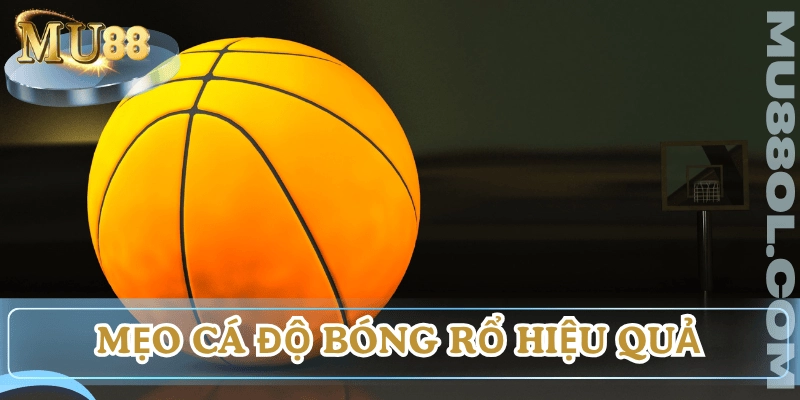meo-ca-do-bong-ro