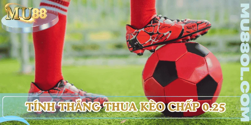 thang-thua-keo-chap-dong-banh-nua-trai-la-gi