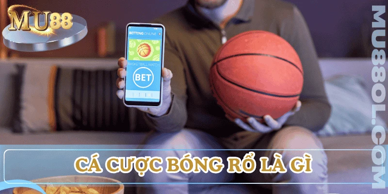 tong-quan-ca-do-bong-ro