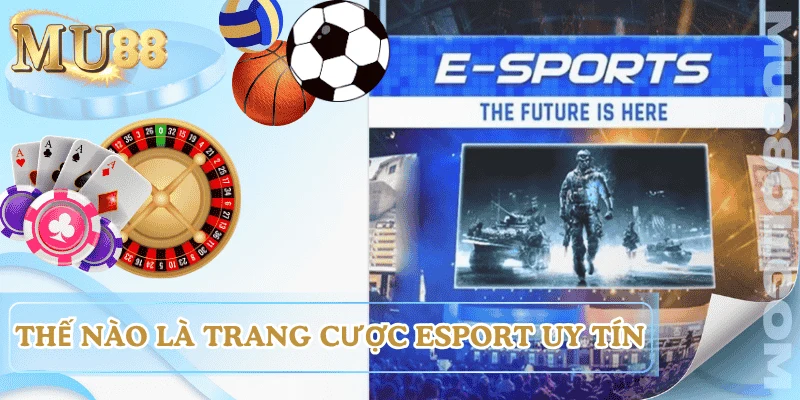 trang-ca-cuoc-esport-cach-thuc-hoat-dong